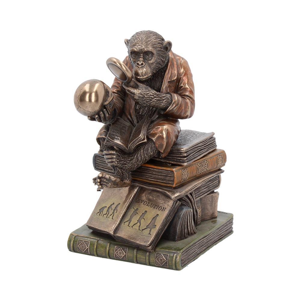 Evolution Theory Chimp Ornament Darwin Scholar Statue Bronze Scientific Display