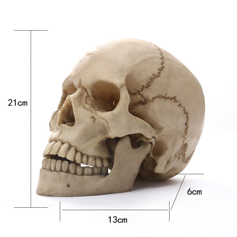 11 Skull Resin Skull Skull Skull Crafts Personality Decoration