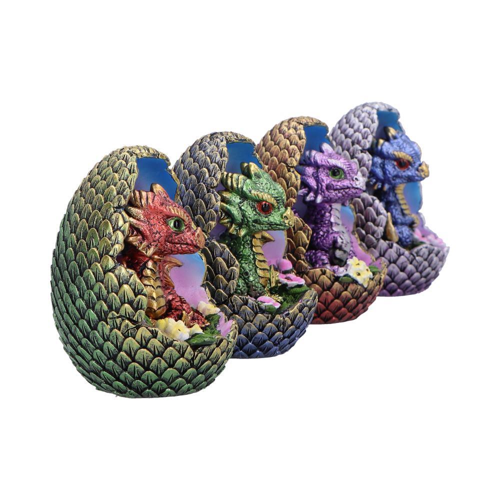 Enchanted Gothic Fantasy Dragon Egg Figurines Blooming Brood Collectible Statue