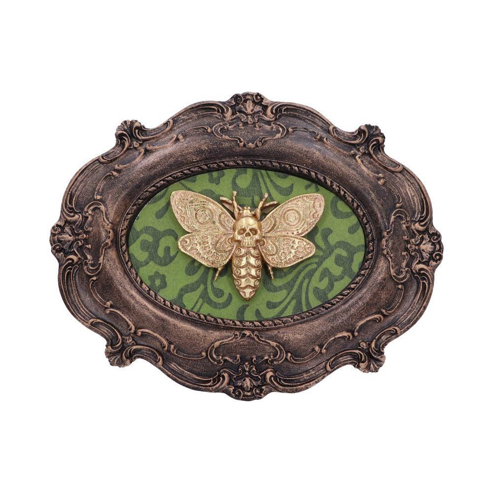 Gothic Moth Wall Plaque Baroque Style Home Decor Ornate Ornament Gift