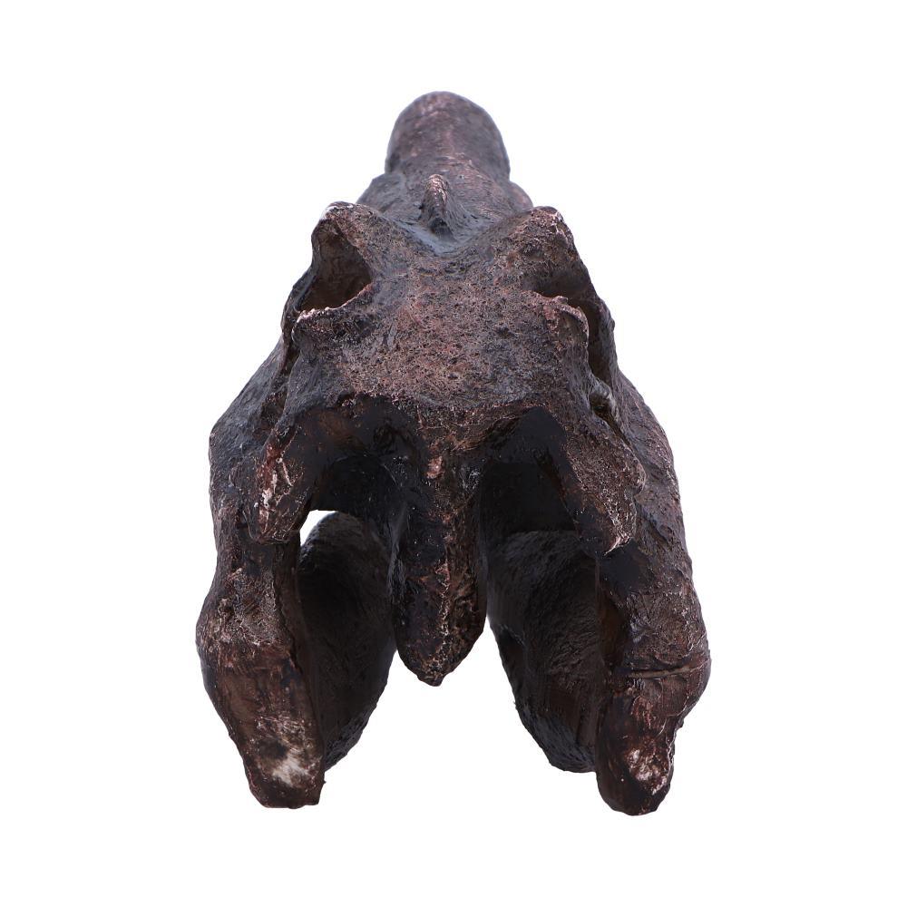 Realistic Spinosaurus Dinosaur Skull Model Replica Skeleton Sculpture Home Gift