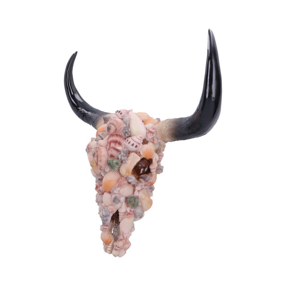 Seashell Bison Skull Ornament Coastal Gothic Decor Ocean Inspired Sculpture Art