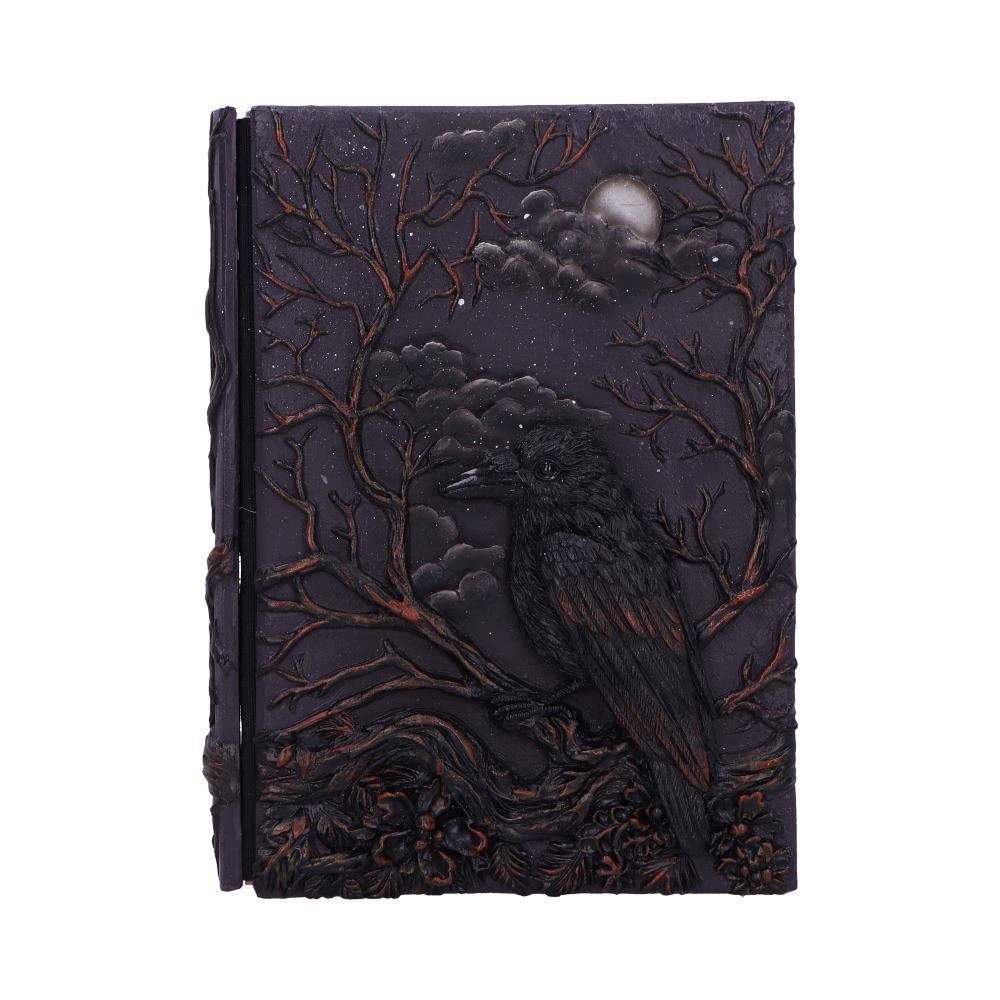 Mystical Raven Journal Gothic Spell Book Grimoire Fantasy Notebook Wiccan Art