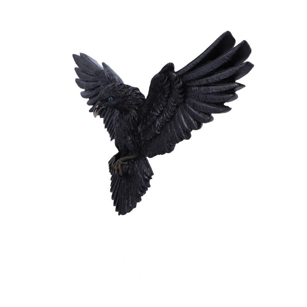 Mystical Black Raven Wall Ornament Decoration Fantasy Gothic Plaque  Art Decor
