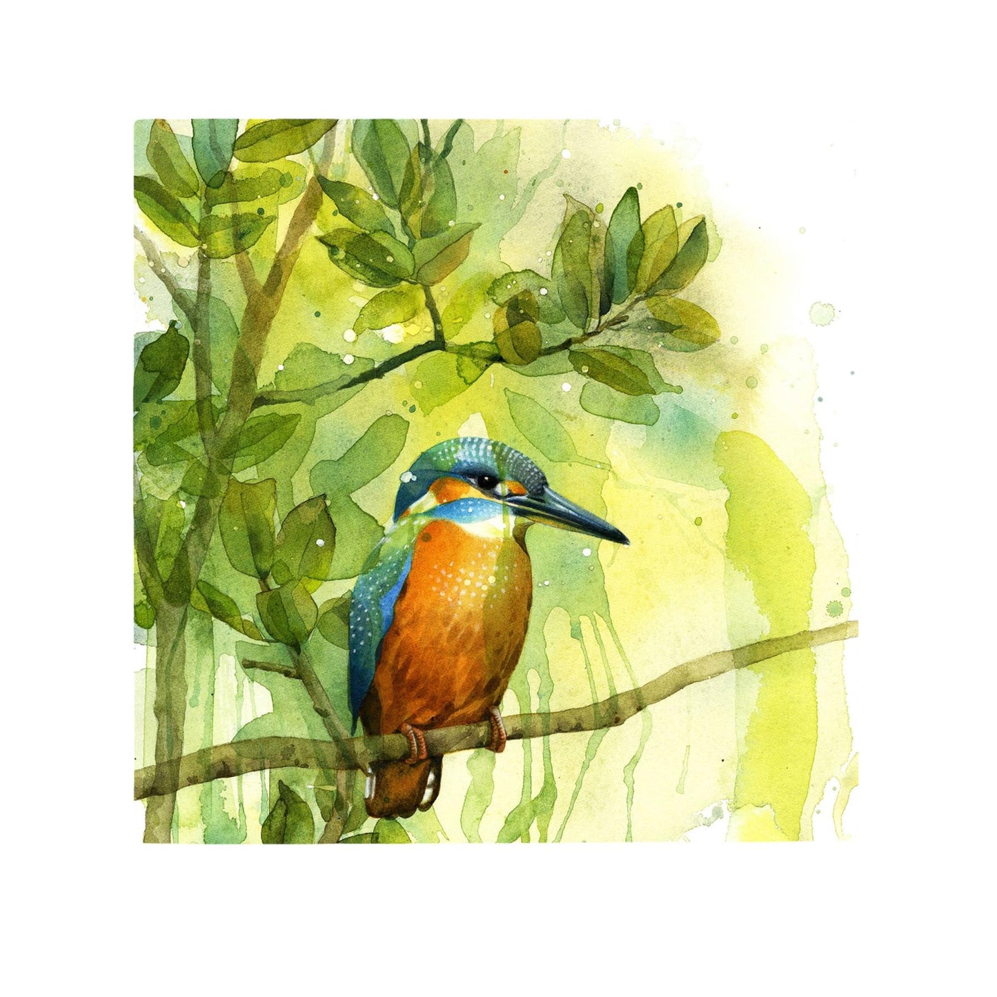 Stunning Kingfisher Perched Ceramic Wall Art Tile by P. Stone - Nature Decor - Ready to Hang, 20x20cm, Home Decor Gift-Osiris Craftworks