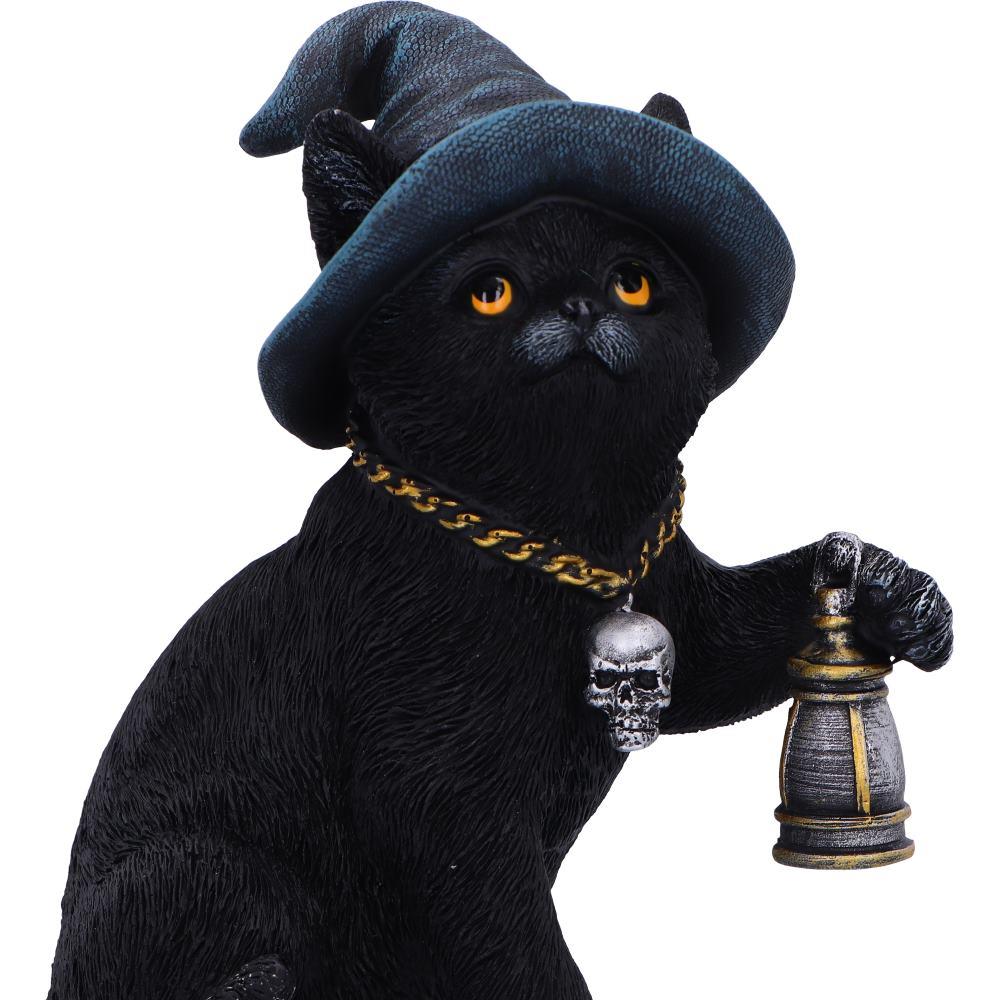 Fantasy Witch Cat Figurine Gothic Cat Familiar Lantern & Skull Necklace Statue