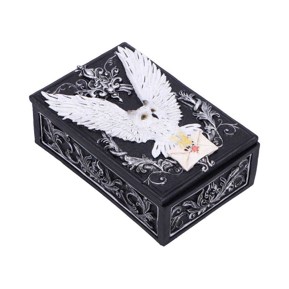 Gothic Owl Messenger Box Wiccan Witchcraft Storage Keepsake Fantasy Ornament