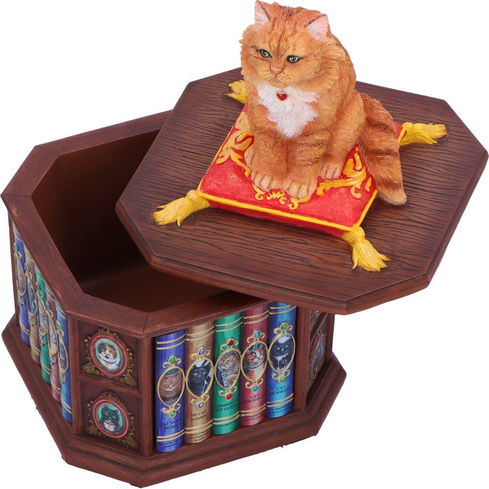 Mad About Cats Storage Box Bookcase Figurine Wiccan Alter Fantasy Ornament