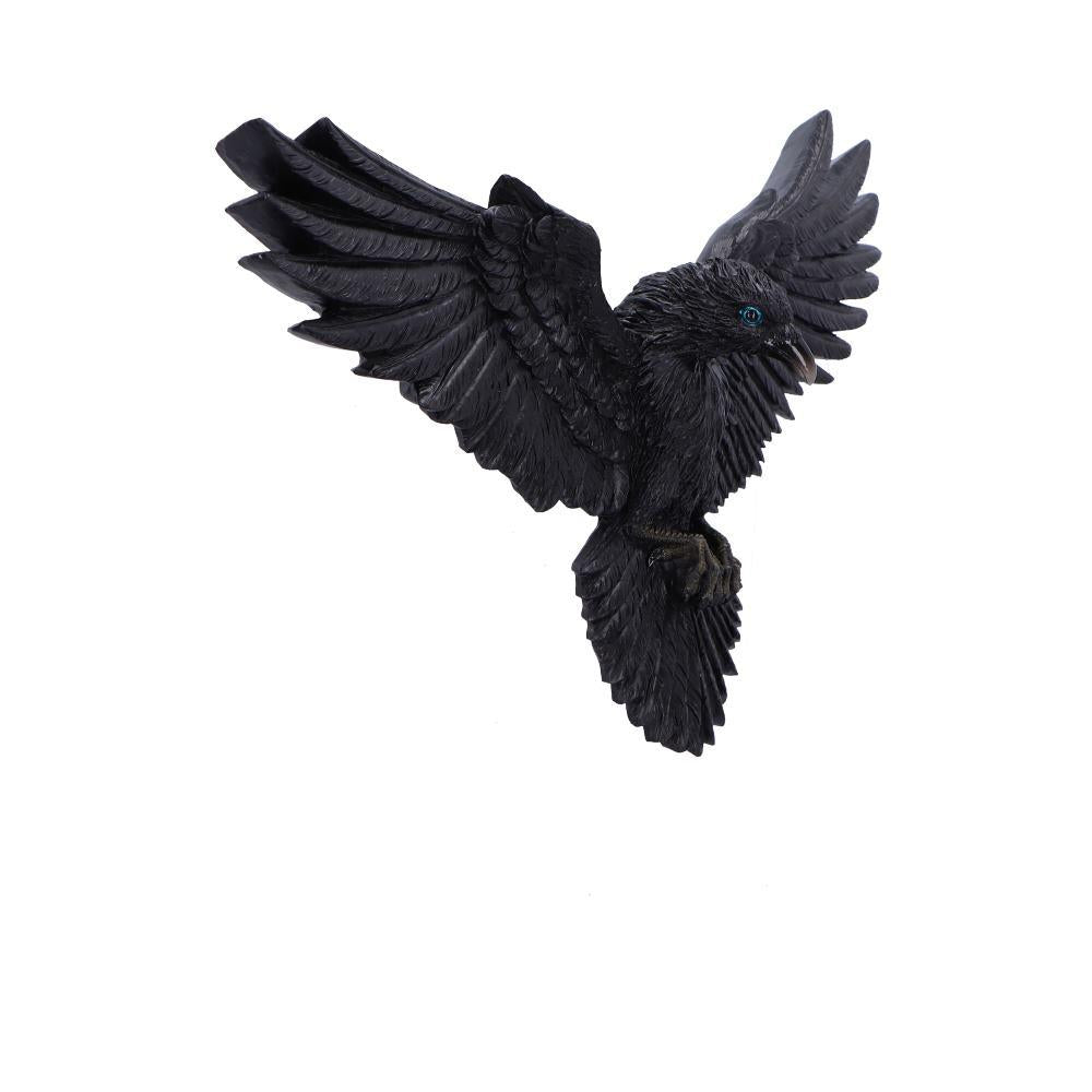 Mystical Black Raven Wall Ornament Decoration Fantasy Gothic Plaque  Art Decor