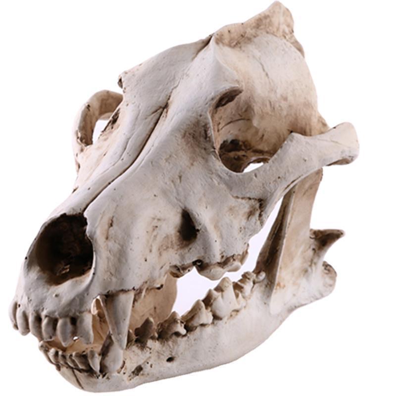 Wolf Head Fashion Resin Crafts Skull Props