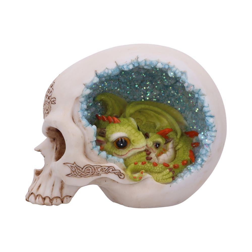 Dragon Resting in Skull Figurine 15cm - Crystal Cave Mother & Baby Dragon Ornament - Gothic Fantasy Decor