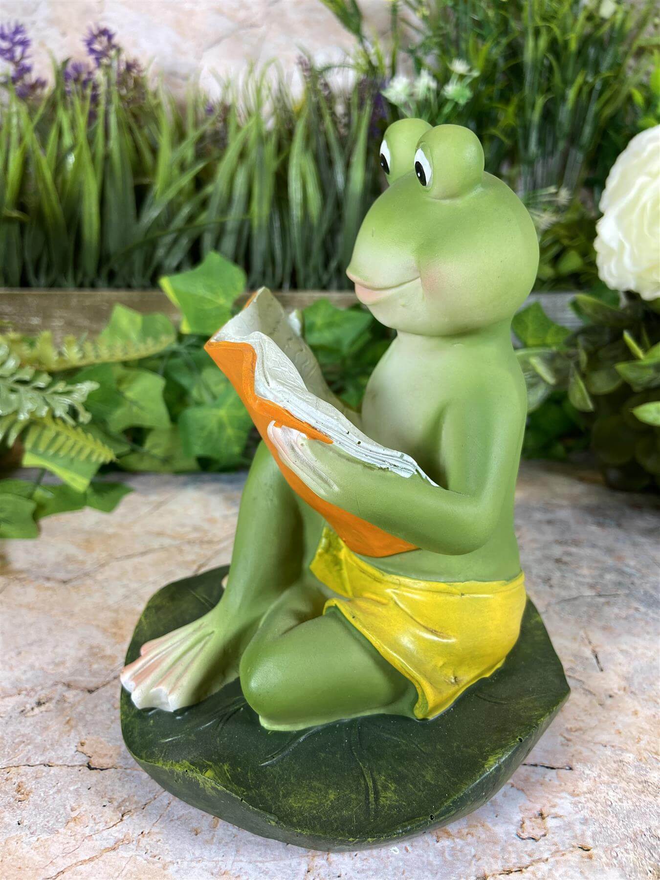 Hilarious Resin Frog Reading Book 15.5 cm Tall Garden Ornament Patio Decor-Osiris Craftworks