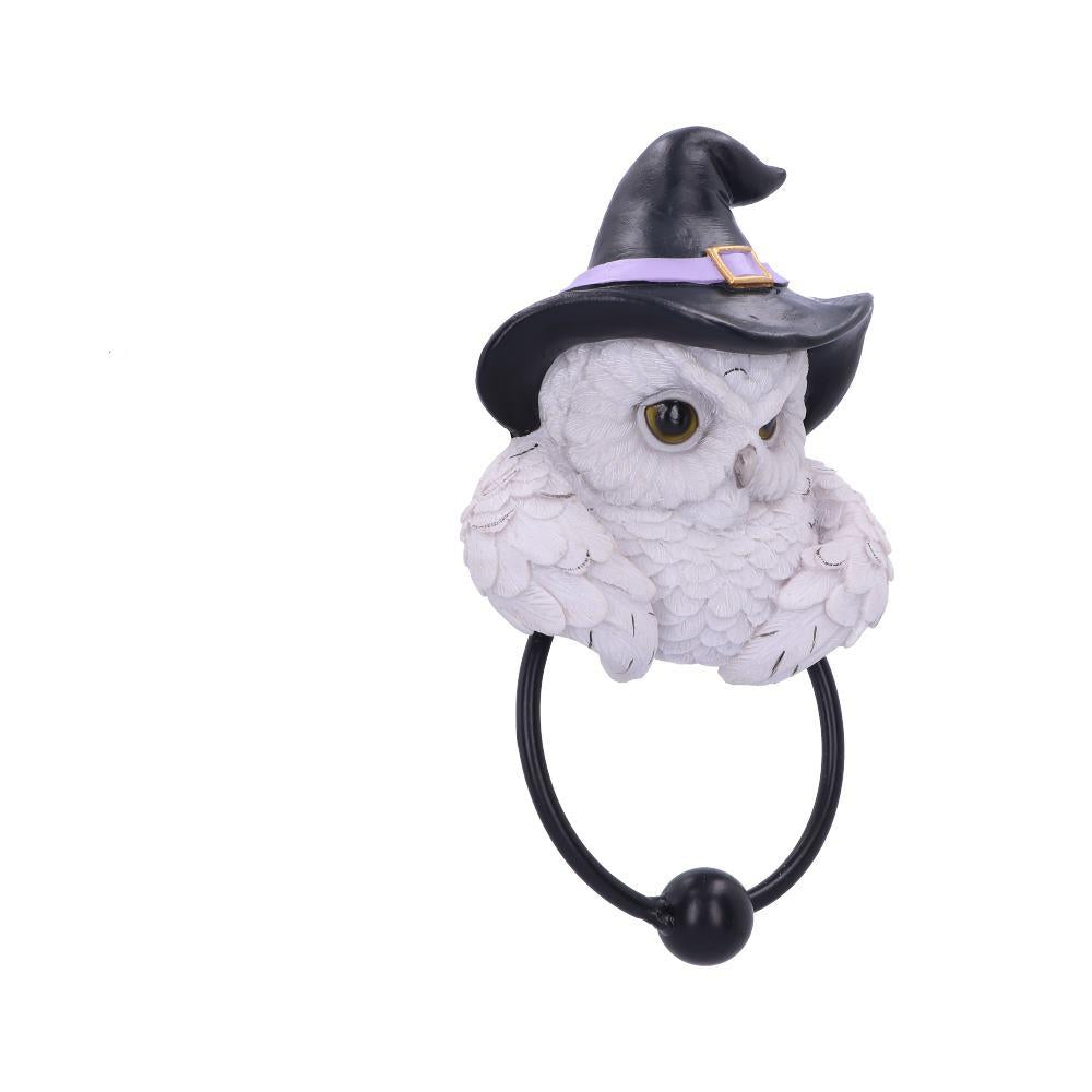 Enchanted Snowy Owl Door Knocker Witchcraft Pagan  Mystical Home Ornament