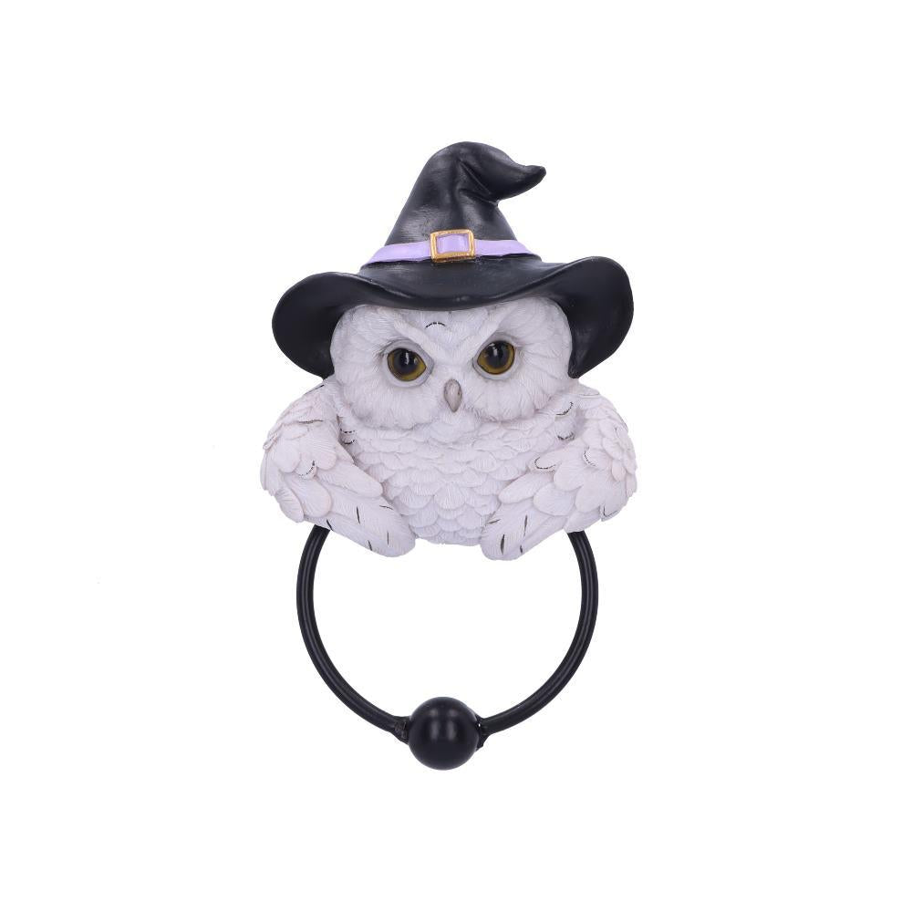 Enchanted Snowy Owl Door Knocker Witchcraft Pagan  Mystical Home Ornament