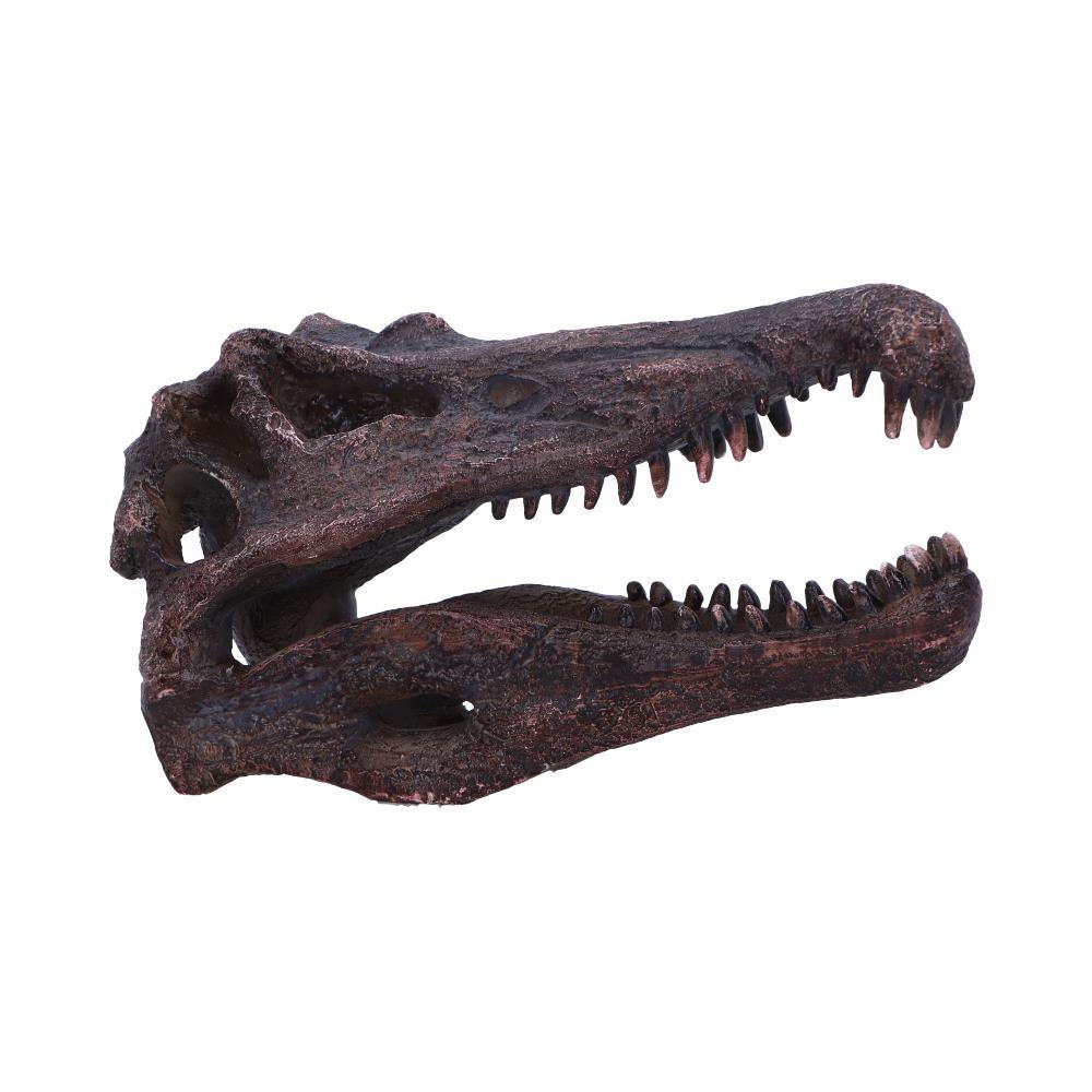 Realistic Spinosaurus Dinosaur Skull Model Replica Skeleton Sculpture Home Gift