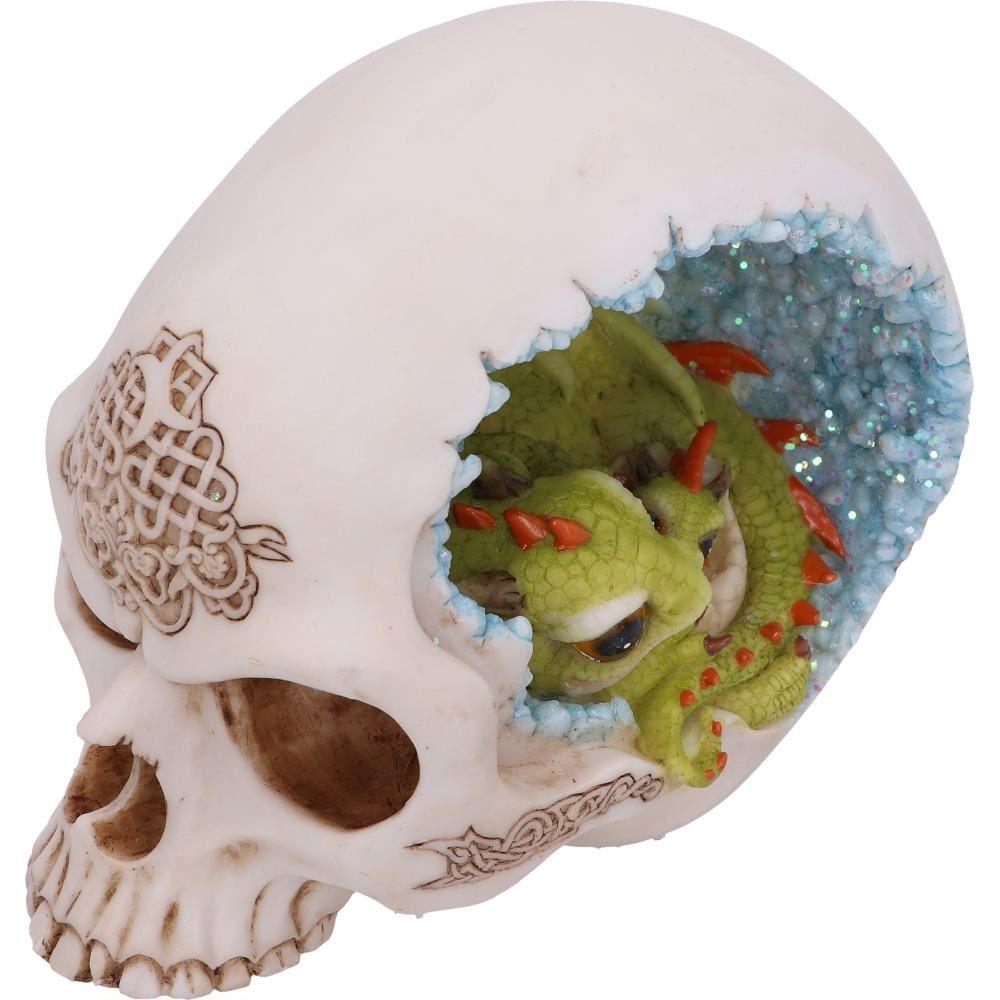 Dragon Resting in Skull Figurine 15cm - Crystal Cave Mother & Baby Dragon Ornament - Gothic Fantasy Decor