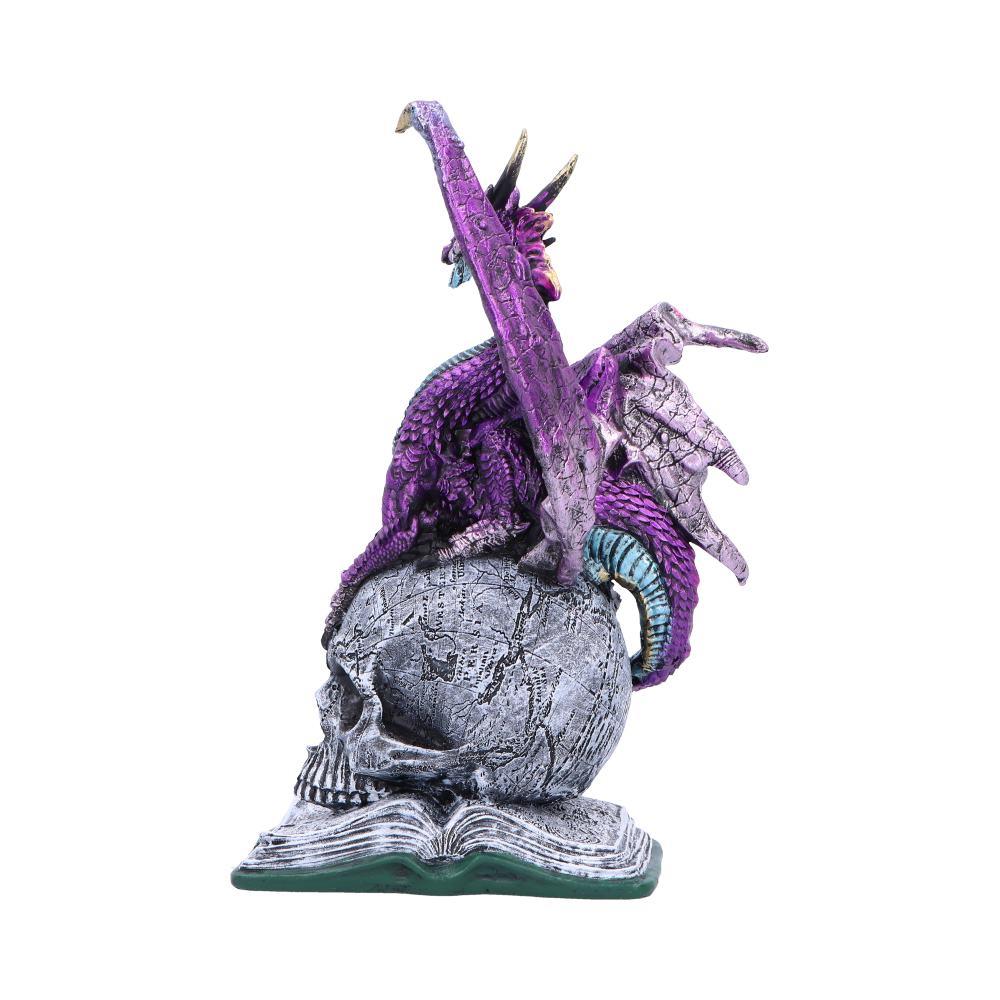 Mystical Dragon on Skull And Book Statue Gothic Decor Fantasy Figurine Ornament