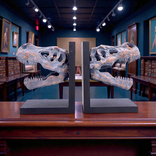 Tyrannosaurus Rex Skull Bookends Dinosaur Skeleton Display Jurassic Decor