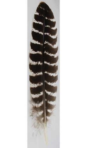 Barred Wing Smudging Feather (28-34cm) - Authentic Wiccan Supplies for Pagan Altar Rituals Spiritual Cleansing Tool-Osiris Craftworks