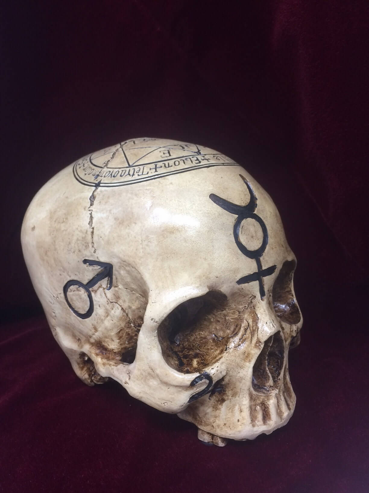 Ancient Mystique Witchcraft Skull | Wiccan Pagan Altar Sculpture | Esoteric Occult Decor | Symbolic Ornament | Unique 18cm Spiritual Gift-Osiris Craftworks