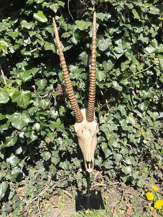 Majestic Antelope Skull and Horns Display, Rustic Wildlife Decor, Skull on Metal Stand, Nature-Inspired Home Accent, Country Estate Feature-Osiris Craftworks