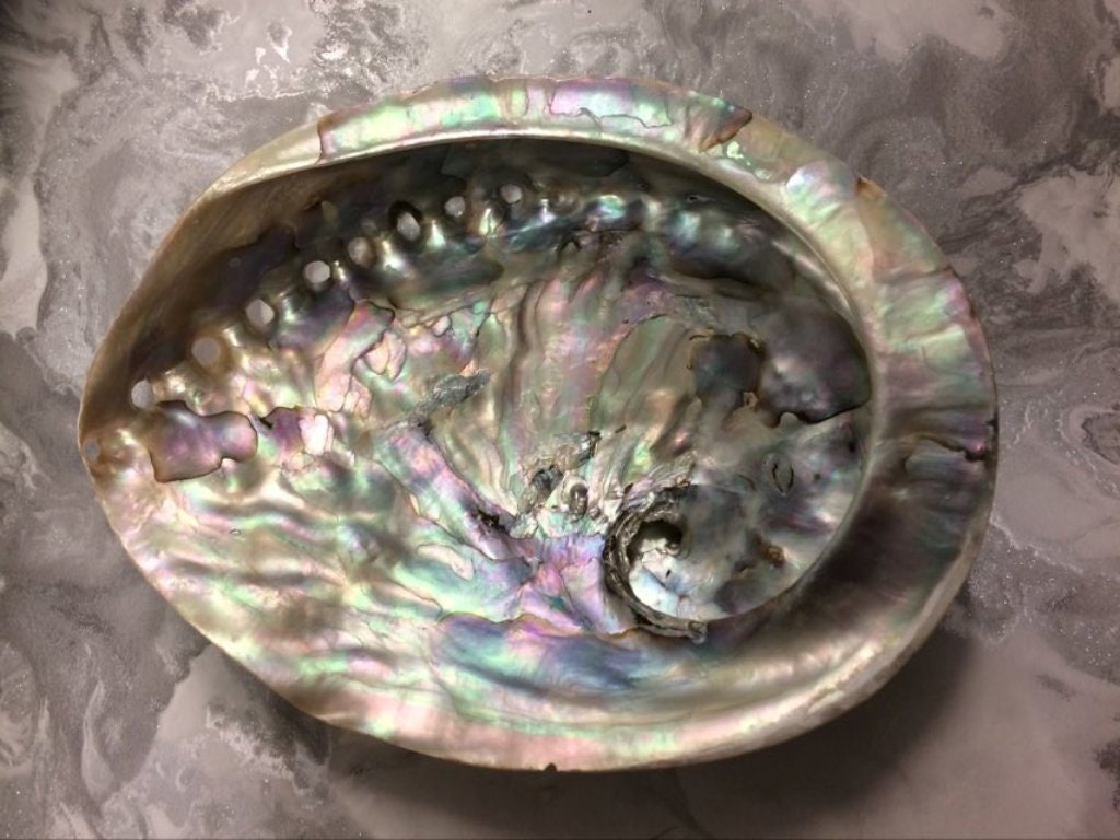 Natural Abalone Shell for Smudging, Iridescent Ritual Smudge Bowl, Holistic Healing & Energy Cleansing, Authentic Oceanic Decor"