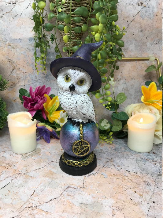 Comical Mystical Owl Sculpture Figurine Home Decoration Statue Owls Collectables Design B-Osiris Craftworks