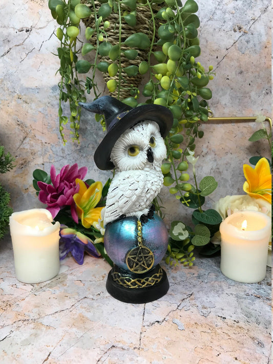 Comical Mystical Owl Sculpture Figurine Home Decoration Statue Owls Collectables Design A-Osiris Craftworks