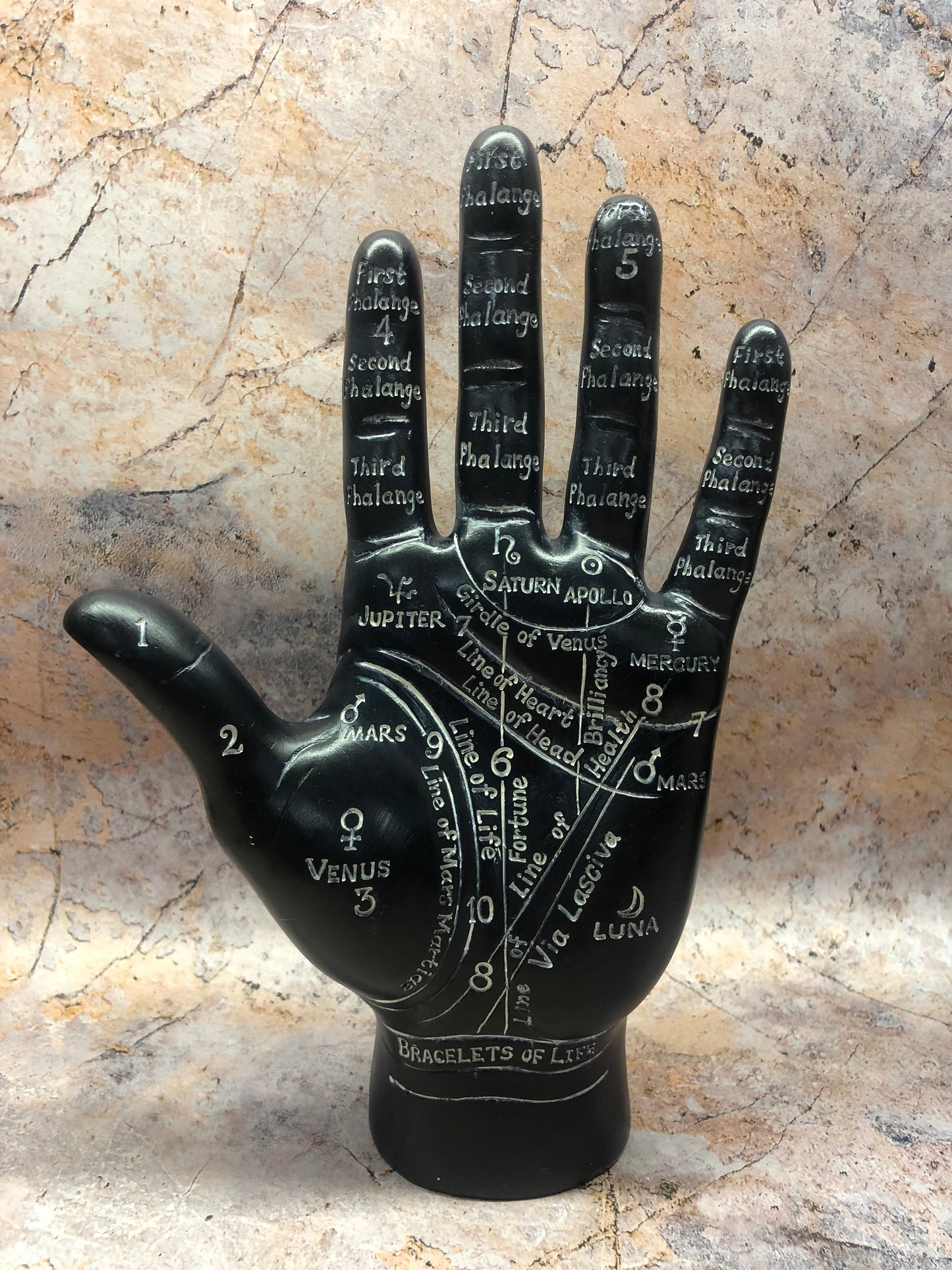 Handstatue aus Handlesen, Astrologische Wahrsageanleitung, Mystisches Chiromantie-Dekor, Okkultes spirituelles Geschenk, Sternzeichen Esoterische Kunst Wahrsagerei