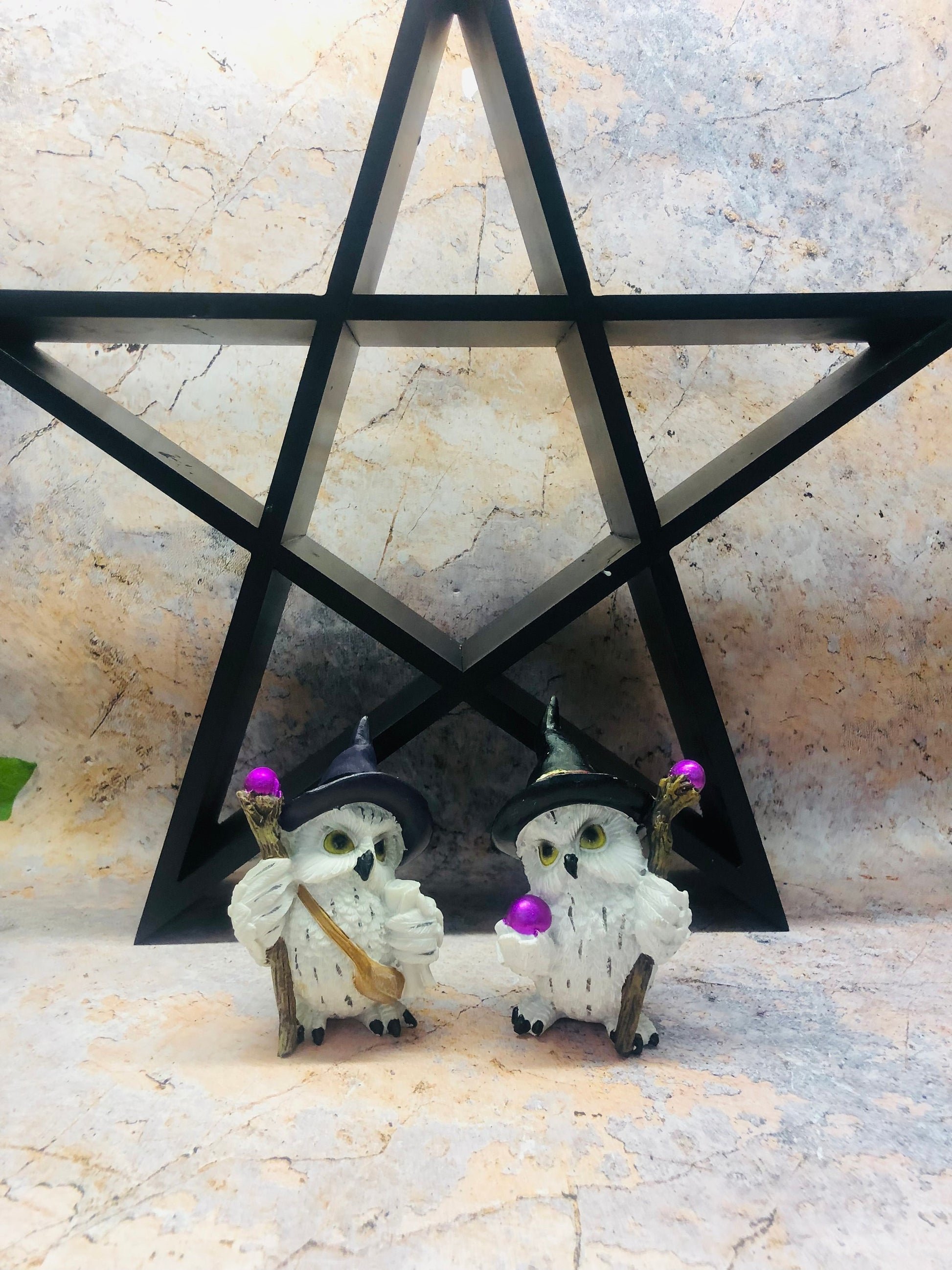 Pair of Comical Owls Witches Figurines Wicca Pagan Decor Owl Collection Hand Made from Quality Designer Resin-Osiris Craftworks