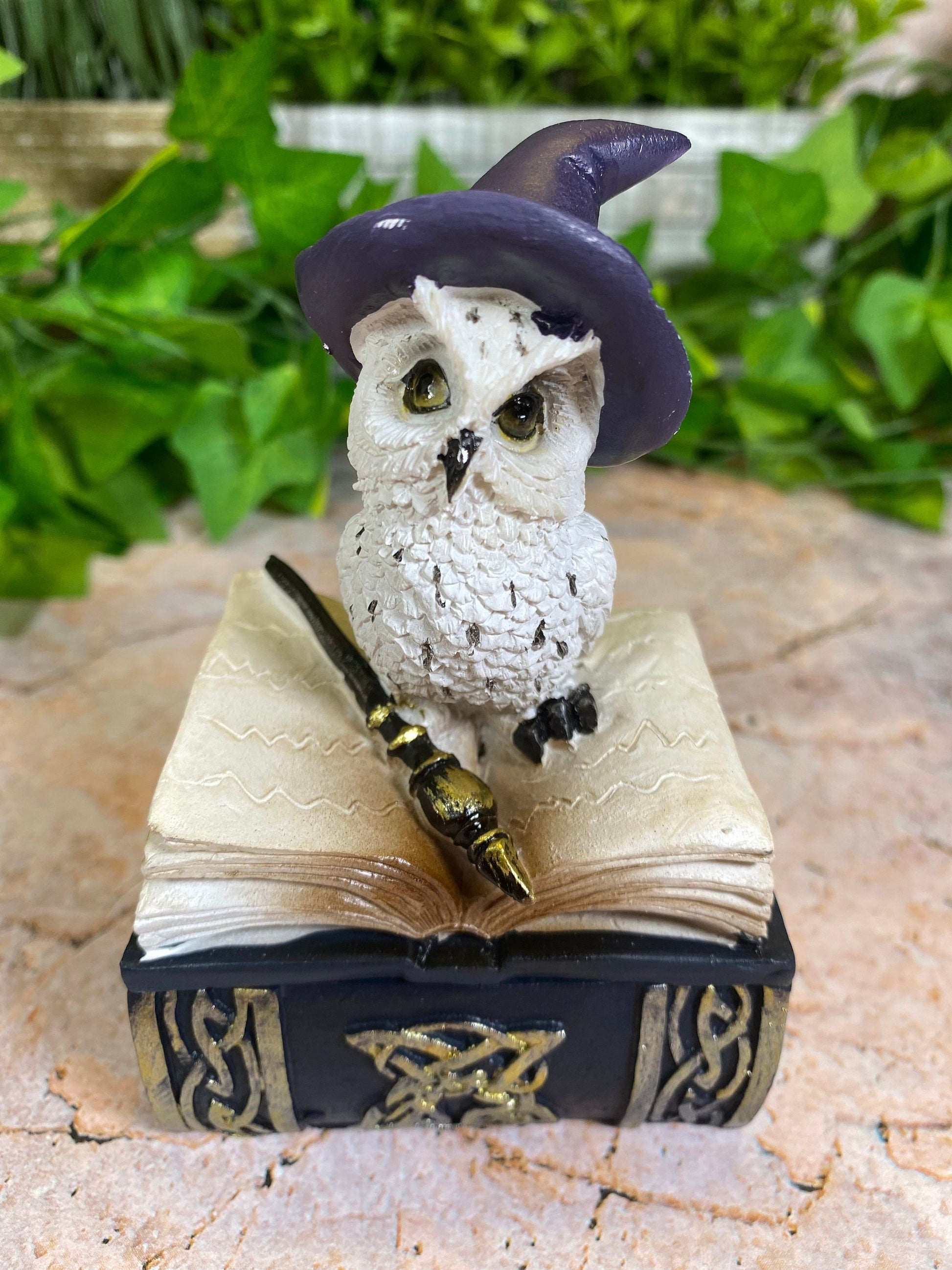 Comical Owl Witch Trinket Box Magical Decor Altar Decorations Wicca Pagan-Osiris Craftworks