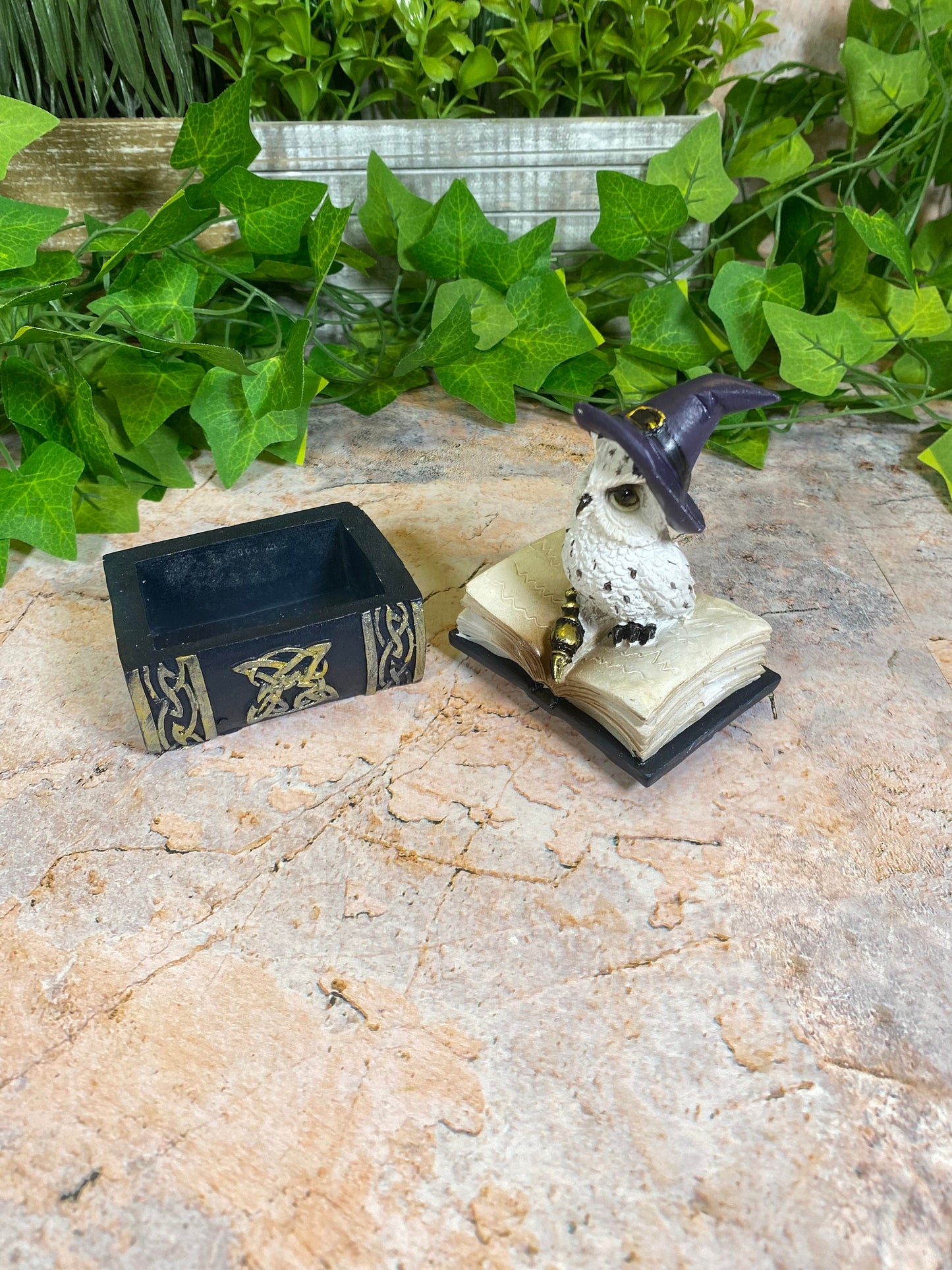 Comical Owl Witch Trinket Box Magical Decor Altar Decorations Wicca Pagan-Osiris Craftworks