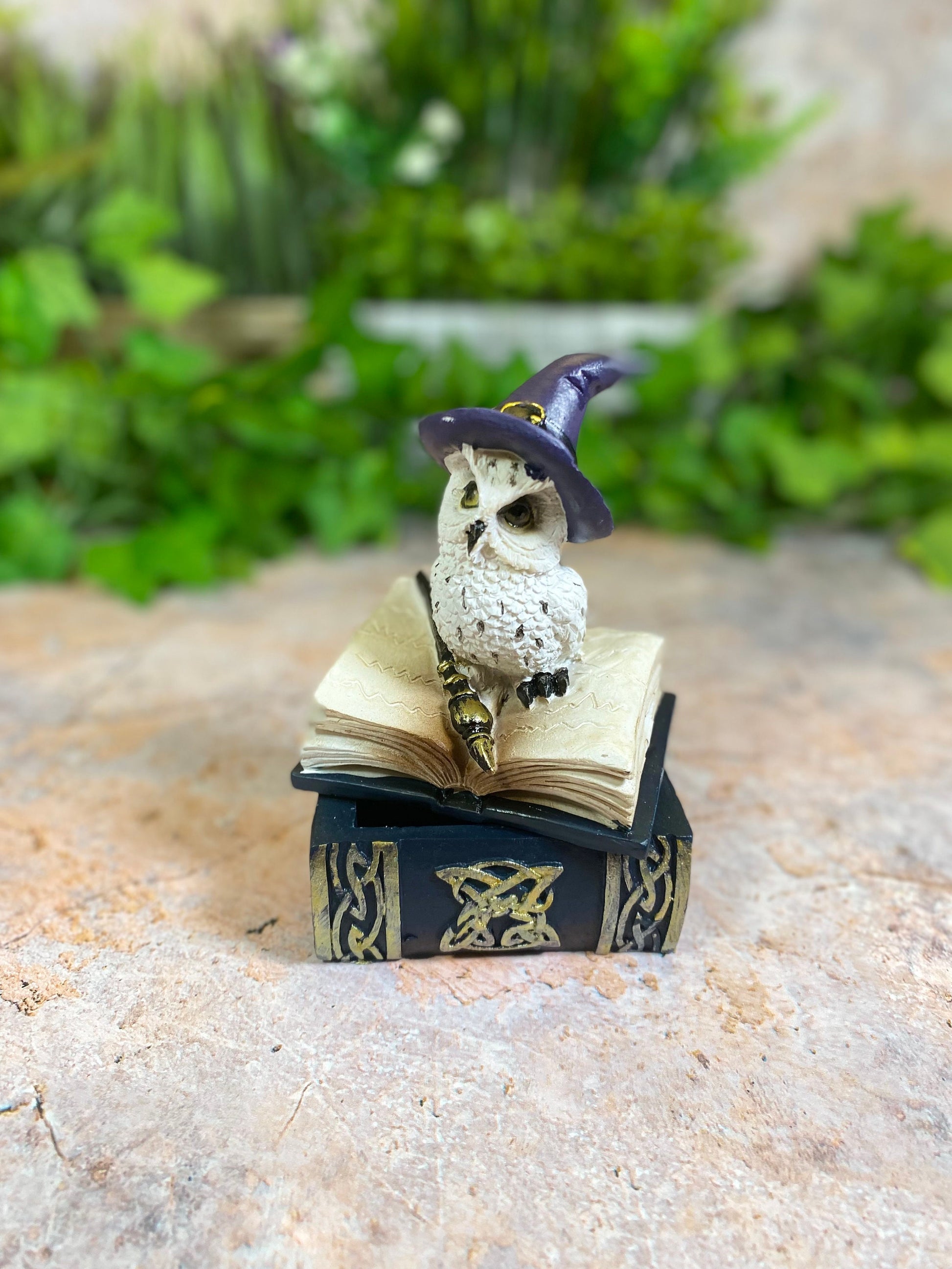 Comical Owl Witch Trinket Box Magical Decor Altar Decorations Wicca Pagan-Osiris Craftworks