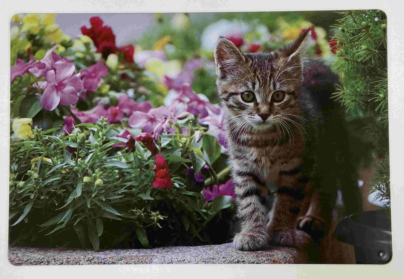 Whimsical Kitten Amongst Flowers Metal Sign Adorn Your Space with Playful Charm Cat Wall Decor Cats Collection-Osiris Craftworks