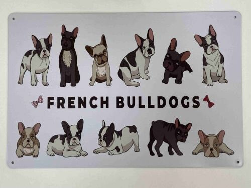 Quirky French Bulldogs Poses Metal Sign - Bring Some Fun to Your Space Wall Metal Art House Warming Gift-Osiris Craftworks