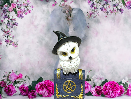 Witch's Familiar Owl on Pentagram Book Figurine - Magical Owl Statue with Spell Book Base, Whimsical Home Decor Collectible - 12.5cm-Osiris Craftworks