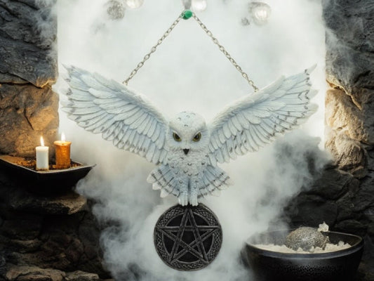 Mystical White Owl Pentacle Wall Hanging - Resin and Metal Gothic Decor, Wiccan Owl with Pentagram, Spiritual Pagan Wall Art, 26 x 21 cm-Osiris Craftworks