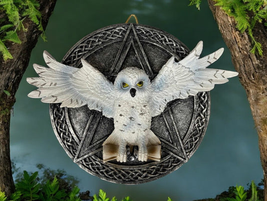 Mystical Snowy Owl Pentagram Wall Plaque - Handcrafted Pagan Decor, Wiccan Altar Art, Spiritual Home Ornament-Osiris Craftworks