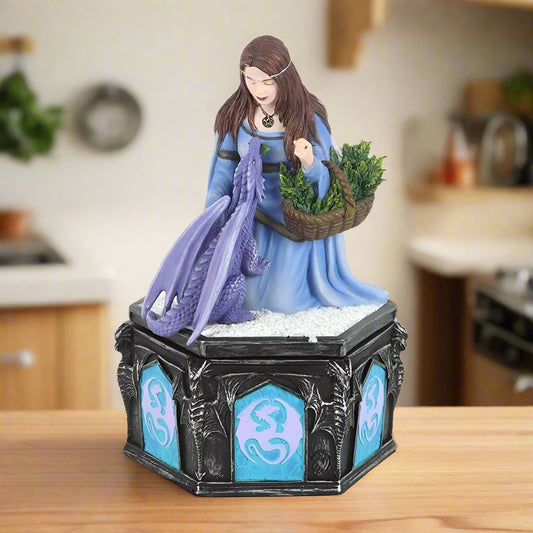 Anne Stokes 'Solstice Gathering' Dragon Figurine Collectible Resin Box - Fantasy Art Treasure Box